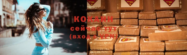 круглые Алексеевка