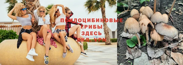 кокс Алзамай