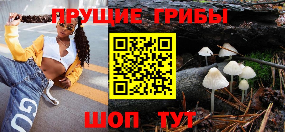 Псилоцибиновые грибы Psilocybine cubensis Гурьевск