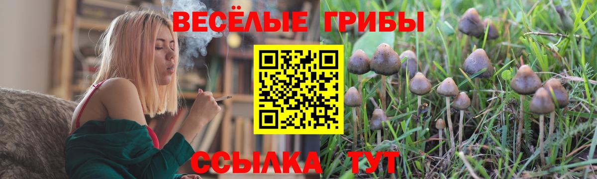 Галлюциногенные грибы GOLDEN TEACHER  Псилоцибиновые грибы ЛСД  Гурьевск  Вход с VPN 
